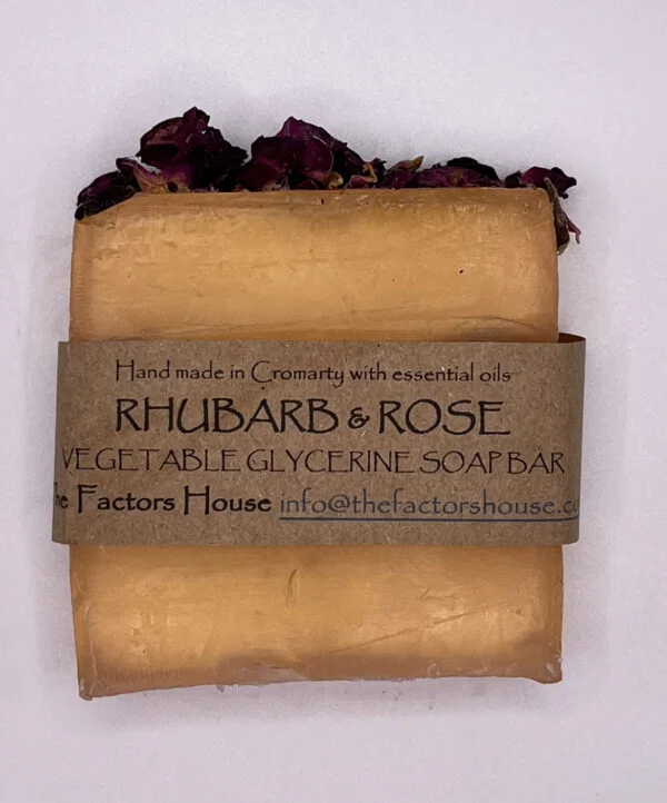 Rhubarb and Rose